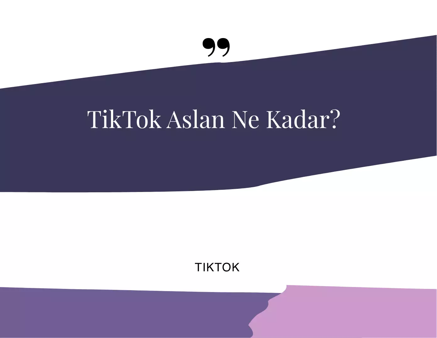 TikTok Aslan Ne Kadar?