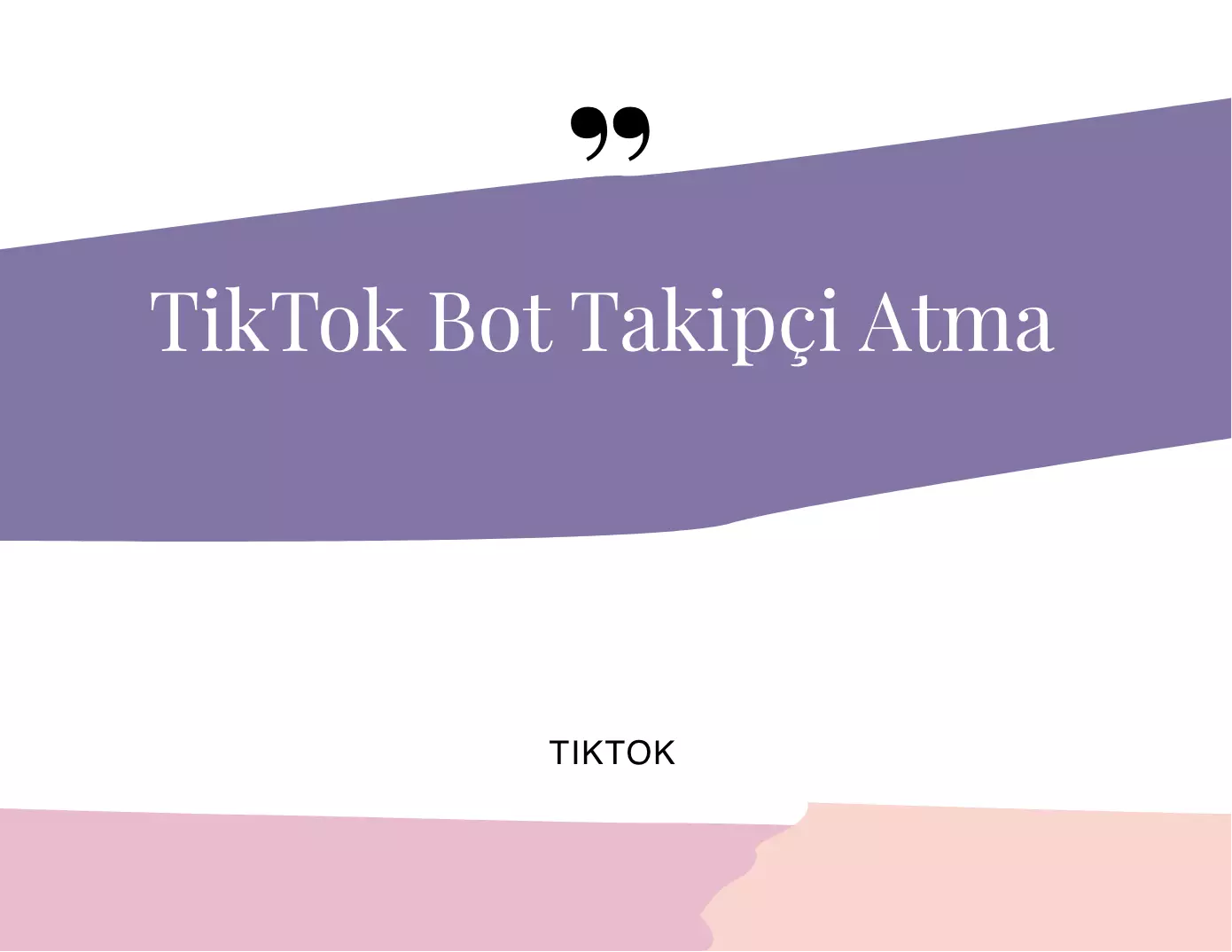 TikTok Bot Takipçi Atma