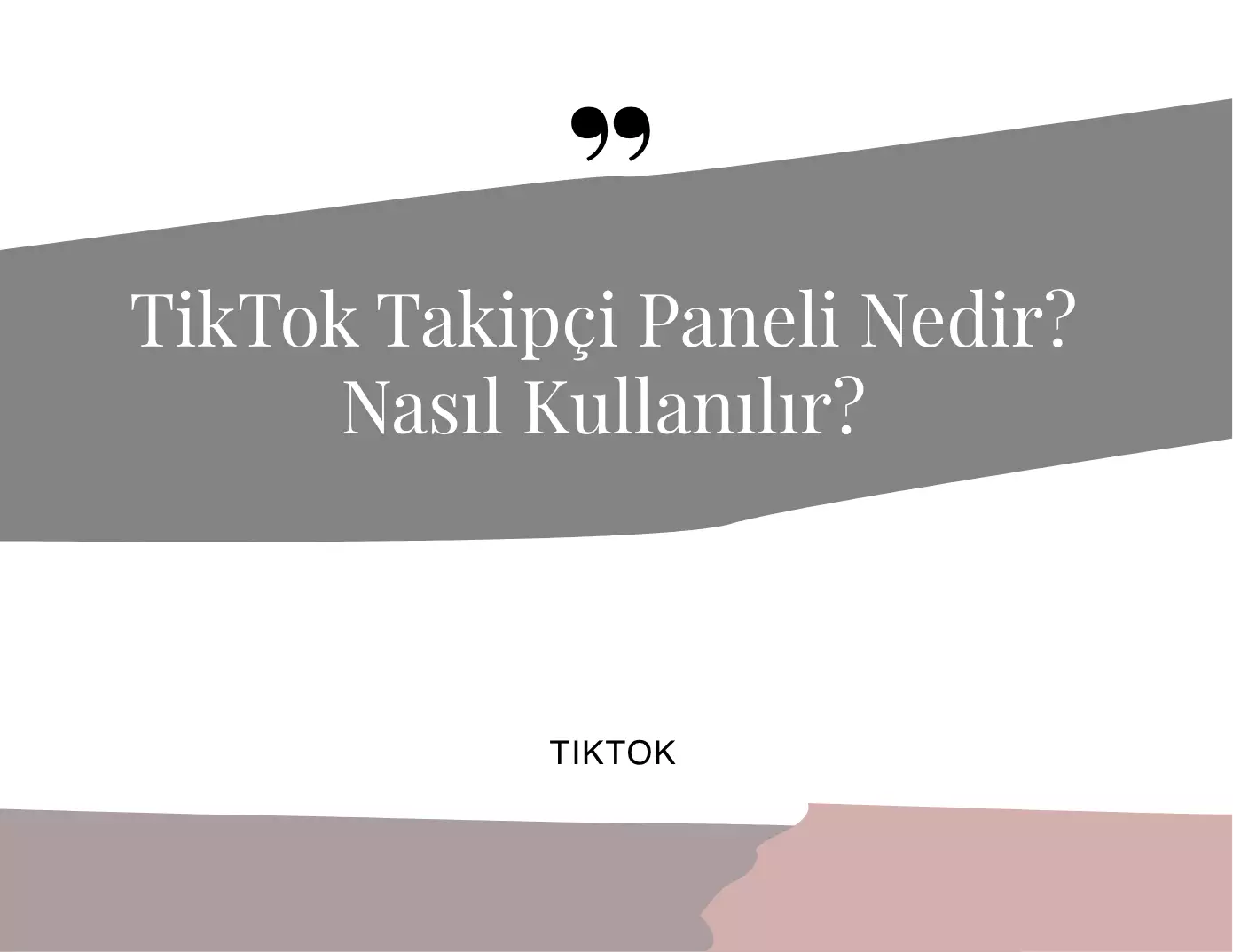 TikTok Takipçi Paneli Nedir Nasıl Kullanılır?